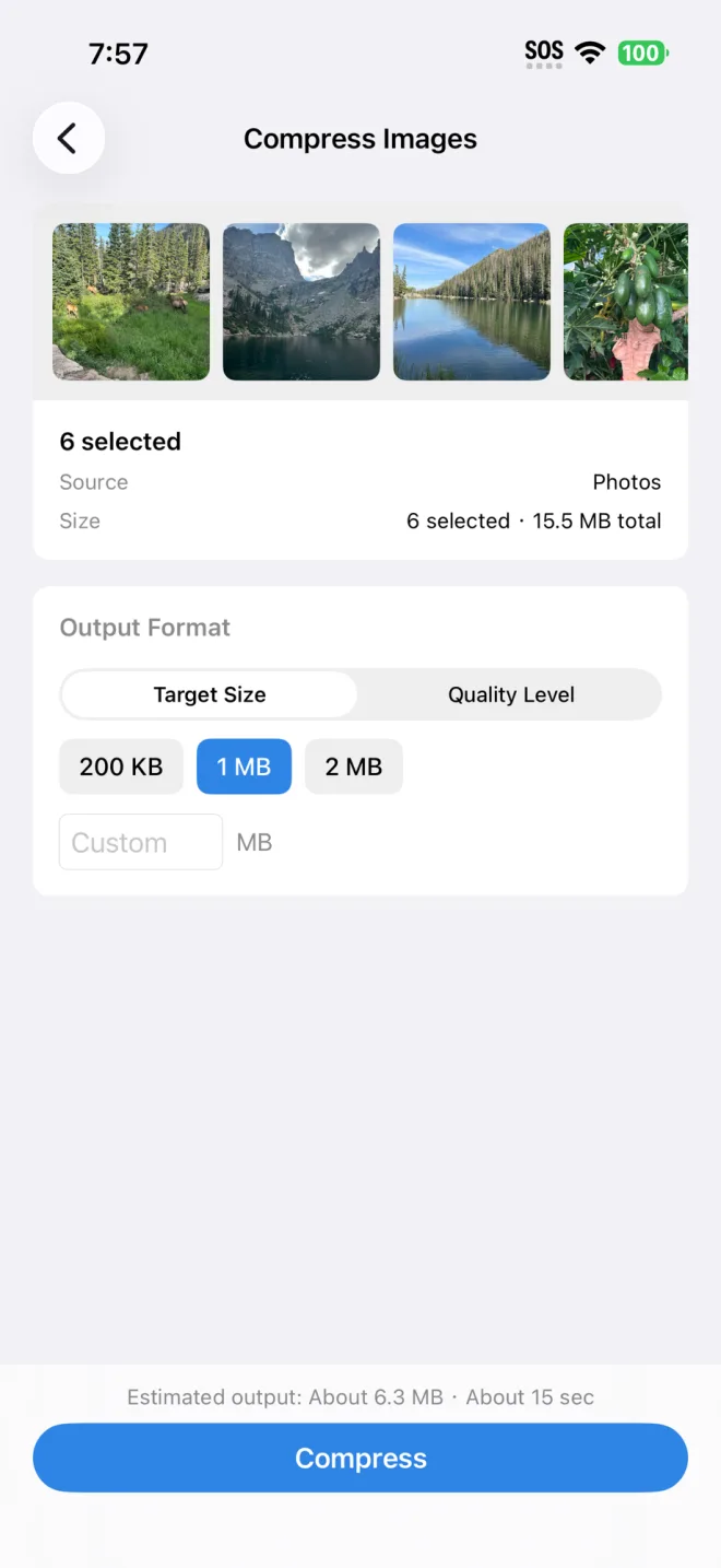 Choosing a 1 MB target size for six photos